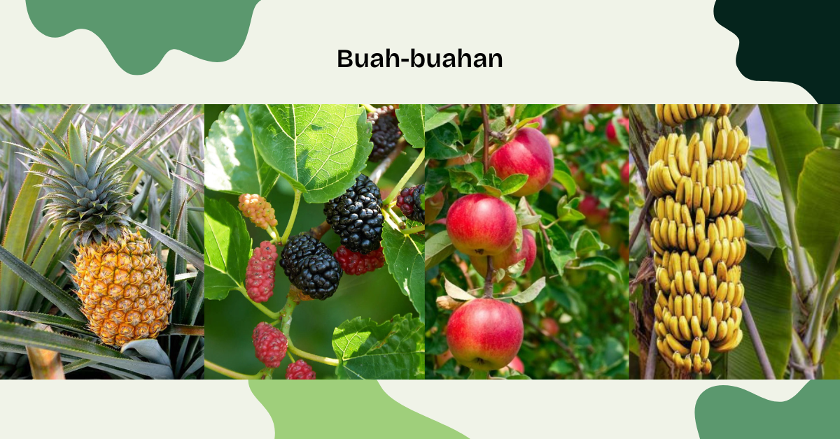 buah-buahan