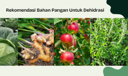 Featured image of post Contoh Makanan Yang Cocok Untuk Dehidrasi