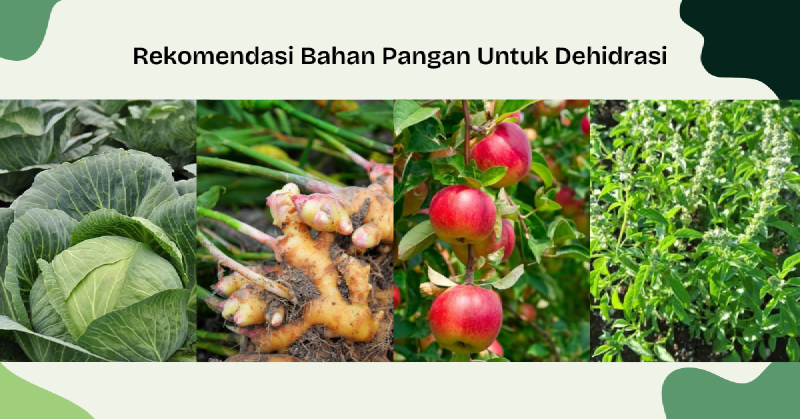 Featured image of post Contoh Makanan Yang Cocok Untuk Dehidrasi