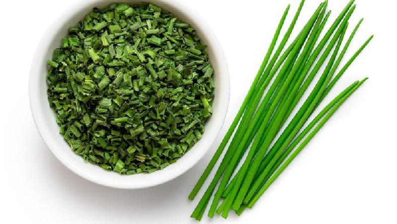 Featured image of post Dehidrasi Daun Bawang