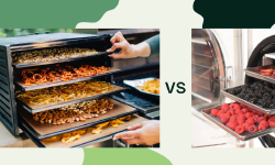 Featured image of post Dehydrator vs Freeze Dryer