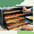 Dehydrator vs Freeze Dryer