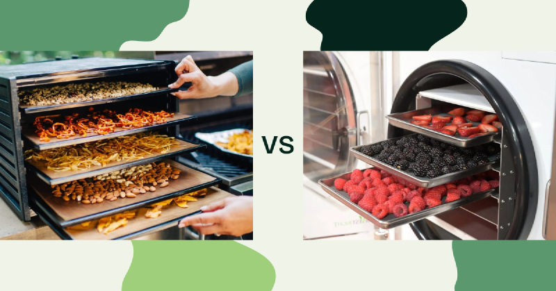 Featured image of post Dehydrator vs Freeze Dryer