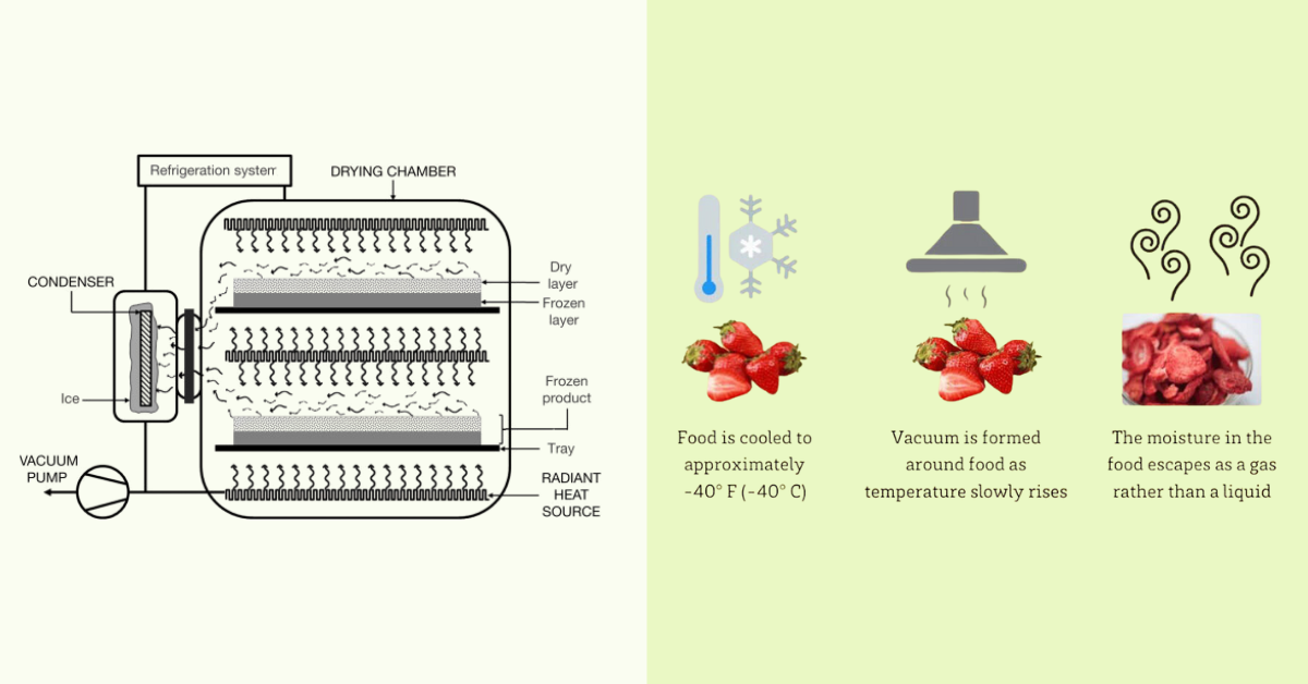 teknologi pada freeze dryer