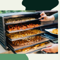 Dehydrator vs Vacuum Frying